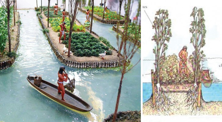 Ingénierie spectaculaire: voici comment fonctionnaient les jardins flottants des Aztèques