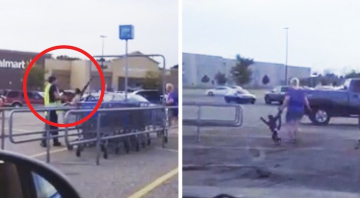 A monkey wearing a diaper appears in a parking lot --- a sad reality!