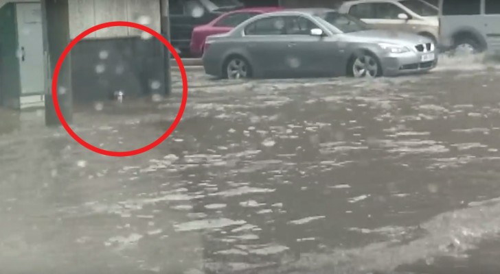 En man lägger märke till någonting ovanligt under översvämnigen - han lyckas rädda ett litet liv