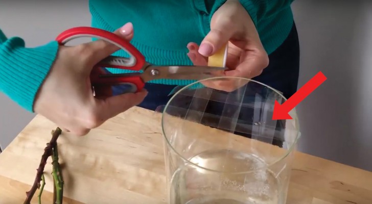 Ze brengt plakband aan op de rand van een vaas: dit idee is nuttig en geniaal!