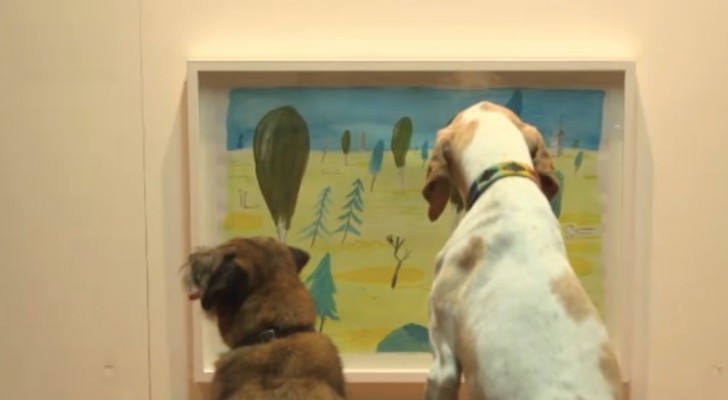 Il primo museo per cani: ecco la mostra che ha fatto agitare centinaia di code!